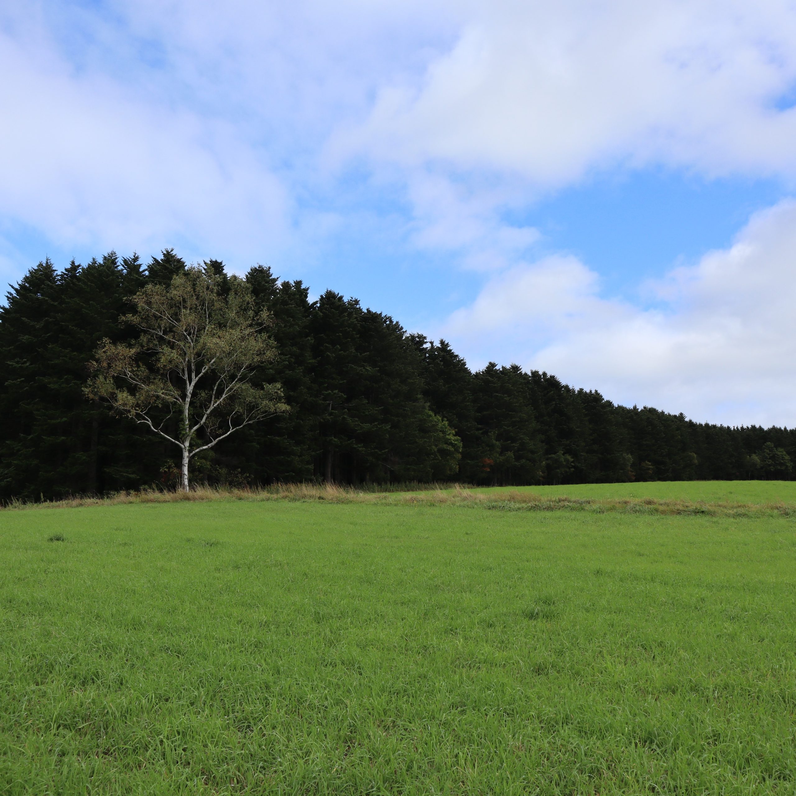 新年度に向けてリニューアルプラン検討中！