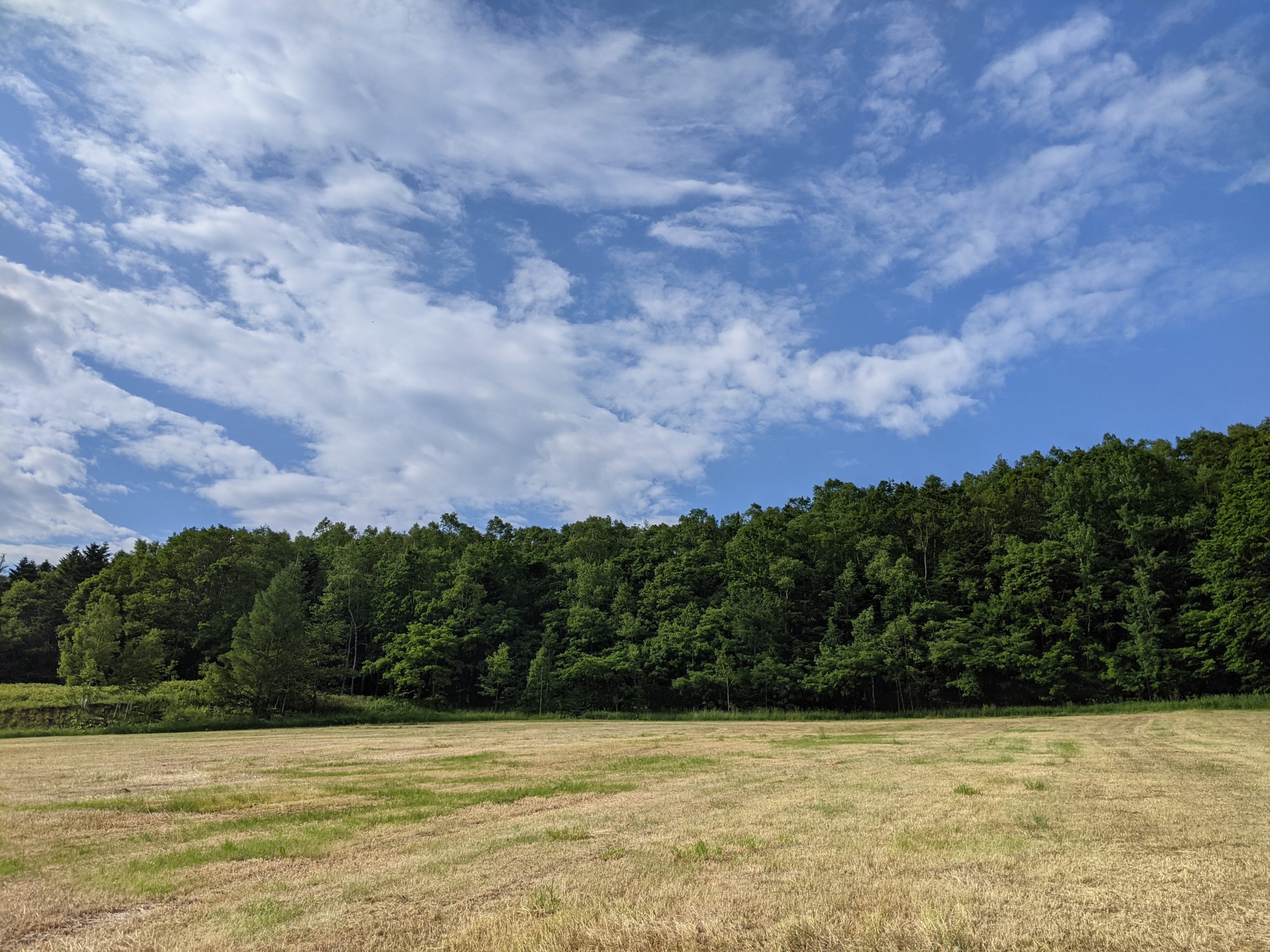 農村の先進事例を紹介します①本別町の福祉