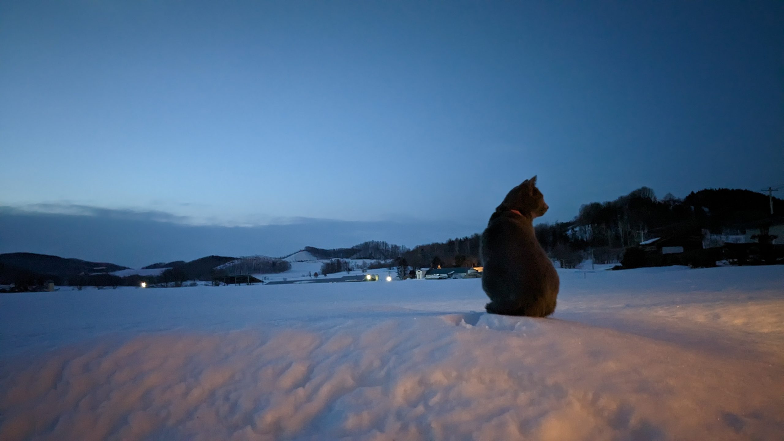 2024年締めのご挨拶